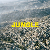 The Blaze: Jungle