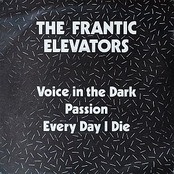 Voice in the Dark