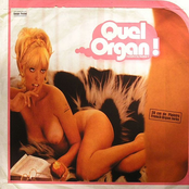 Quel Organ!
