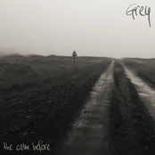 Grey - Single
