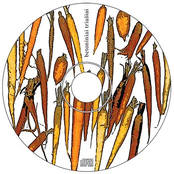 [pilkasis albumas]