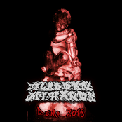 Demo 2018