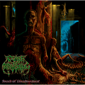 Sounds Of Disembowelment (2010)