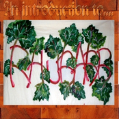 An Introduction to Rhubarb