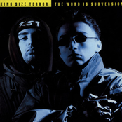 The Word Is Subversion