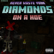 NEVER WASTE YOUR DIAMONDS ON a HOE (feat. Mak) - Single