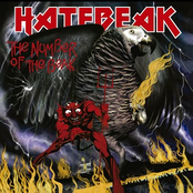 Hellbent For Feathers by Hatebeak