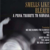 Blanks 77: Smells Like Bleach: A Punk Tribute to Nirvana