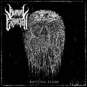 Rotting Flesh