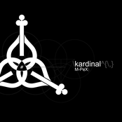 Kardinal