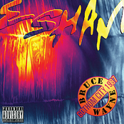 Seems Like Yesterday by Esham