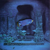 Yanbaru Birdcall by Ryukyu Underground