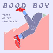 Teens Of The Stoned Age