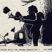 Insane Music For Insane People Vol. 7