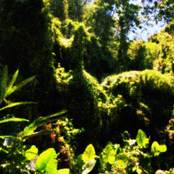 My Vestigial Summer [MIXTAPE]