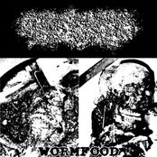 Wormfood Bonus Traxxx