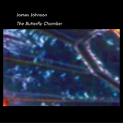 The Butterfly Chamber by James Johnson