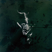 Beast Eye Opened to the Sky