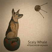 Квазиовчарка