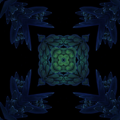 Electronically Explored