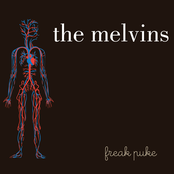 Inner Ear Rupture by Melvins