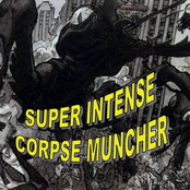 Exponential Growth Phase