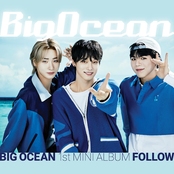 Big Ocean: Follow