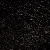 Unnamed Road (DEMO I: Winter Drafts)