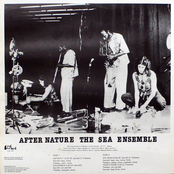 the sea ensemble