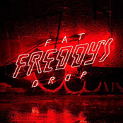 Fat Freddy's Drop: BAYS