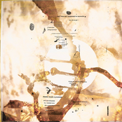 momo's life ('til the memories inevitably start to fade)