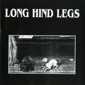 Open Wide by Long Hind Legs
