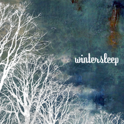 Snowstorm by Wintersleep