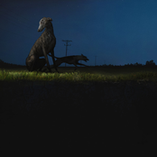 donde van los perros