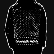 Damaged Head