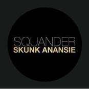 Squander cover