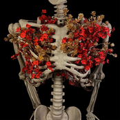 St. Mary: Lungs