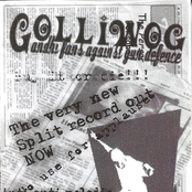 Golliwog Vs. No Comply