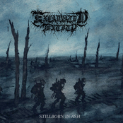 Stillborn in Ash (remaster)