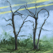 Where the Earth Bends