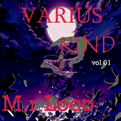 Varius Kind, Vol. 1