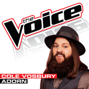 Adorn (The Voice Performance) - Single