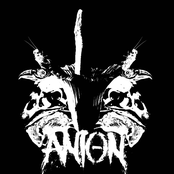 Corpse Flower Cassette