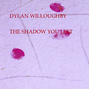 The Shadow You Left