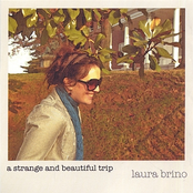 Laura Brino: A Strange and Beautiful Trip