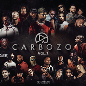 Carbozo Vol. 1