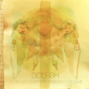 I'd Rather Disappear Than Stay The Same