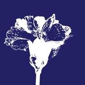 A Doubtful Sounding EP Volue I