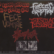 The Most Devastating Bands On The Planet