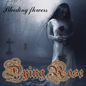 The Bleeding Flowers by Dying Rose